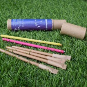 Plantable Pen Pencil (Eco Friendly stationery gift box)